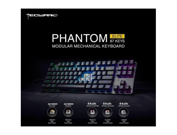 Tecware Phantom Elite P87 TKL RGB Gateron Switch Mechanical Keyboard