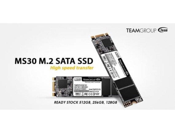 EAM SSD MS30 M.2 256GB